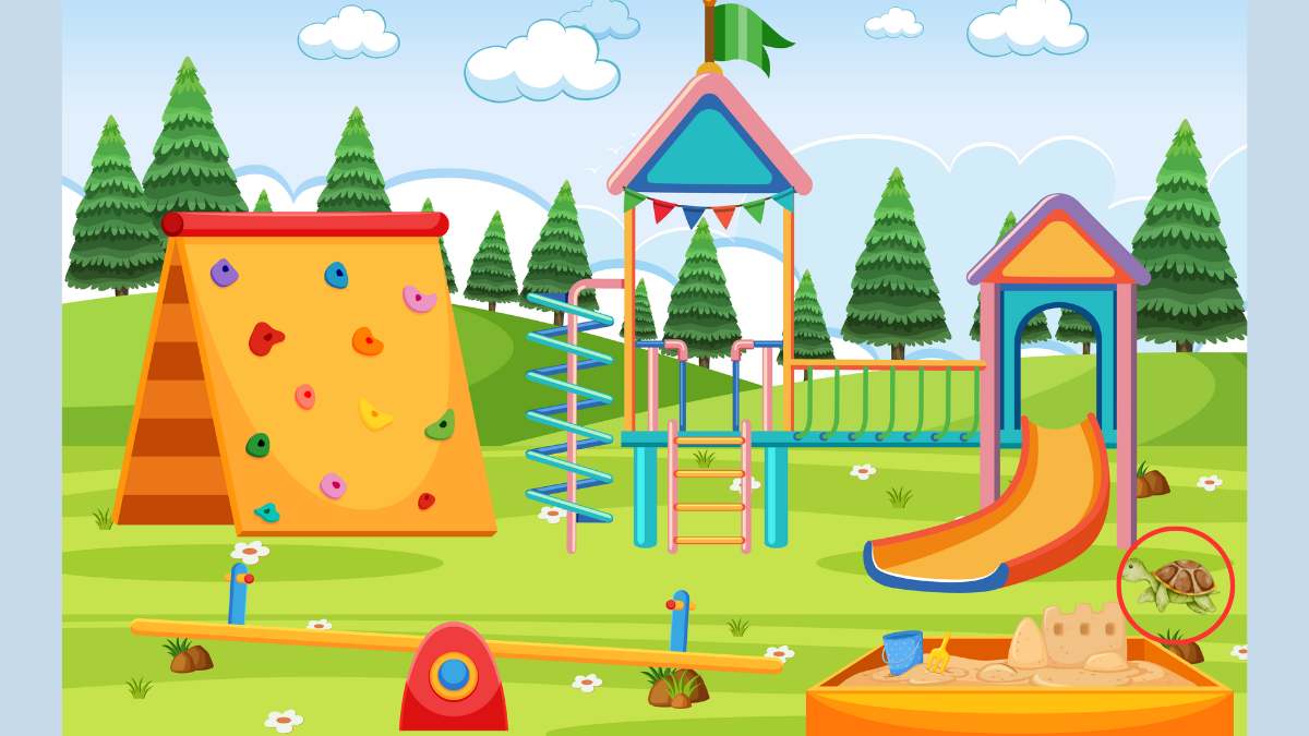 Answer: Can you Spot the Hidden Tortoise?